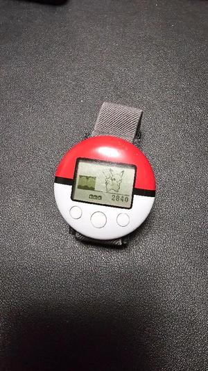 Pokewalker Watch   