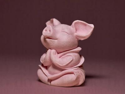 Cute Meditating Piglet   