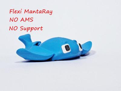 Flexi Manta Ray - Articulated cute fish - NO AMS