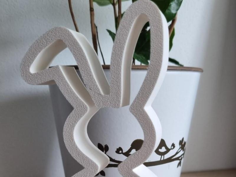 Easter rabbit/bunny