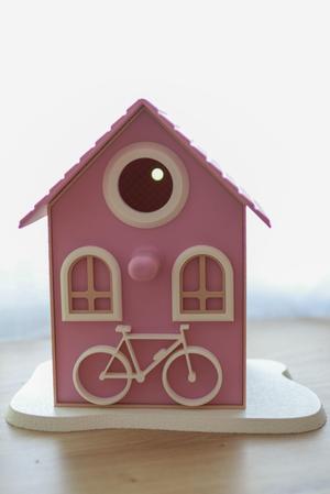 Bird House 9.1