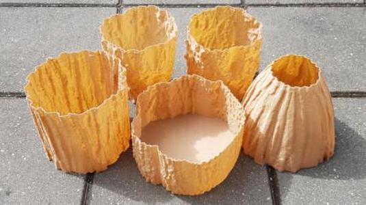 3D Scanned Oak Tree Texture For Functional and Decorative Items