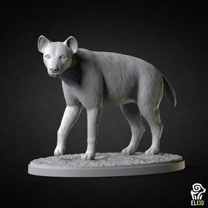 Hyena - Animal