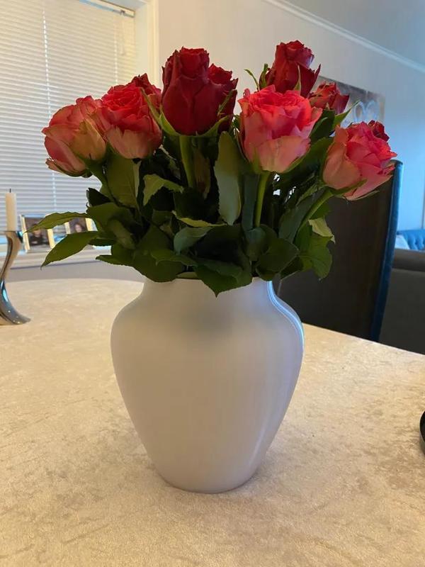 Classical Vase (2 versions)