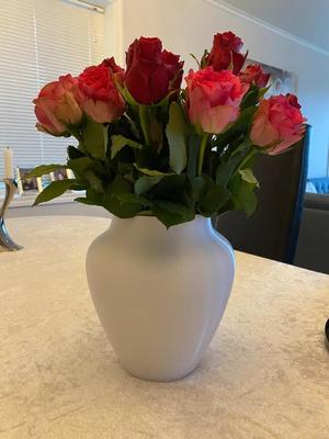 Classical Vase (2 versions)