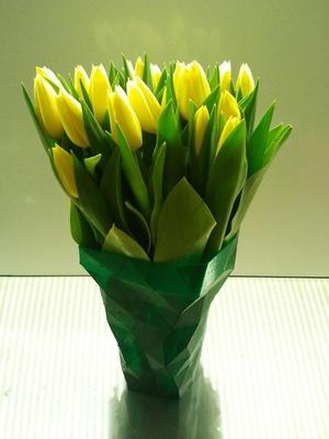 low res hi quality vases on ultimaker