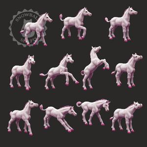 Unicorn Foal Set