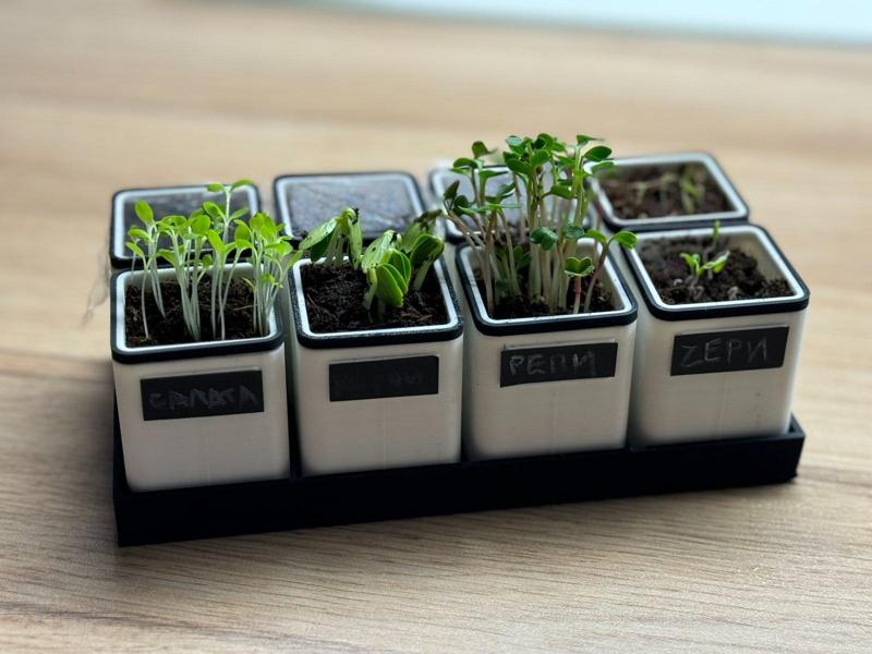 Seed Starter with Label Slot & Greenhouse Support