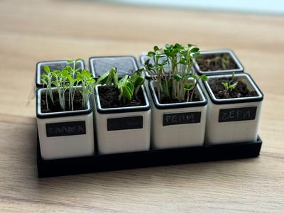 Seed Starter with Label Slot & Greenhouse Support