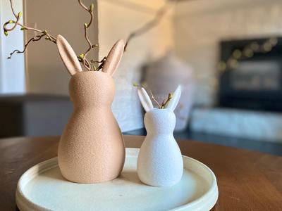 Easter Bunny Vase Fuzzy