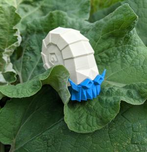 Omanyte Low Poly