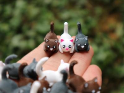 cute tiny catt