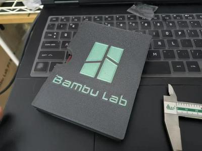 Passport holder