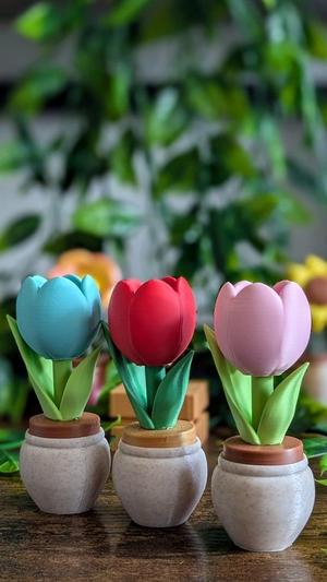 Tulip clicker (Table Garden)
