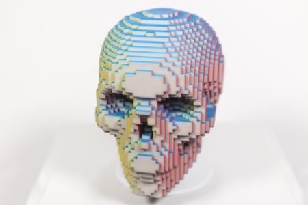 Voxelized Skull