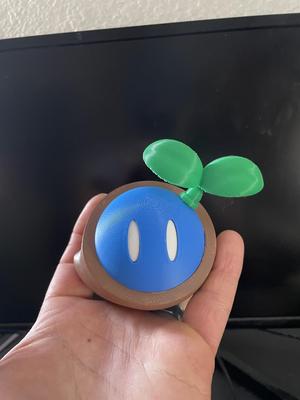 Wonder seed