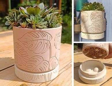 Wall Planter 1.25 Monstera