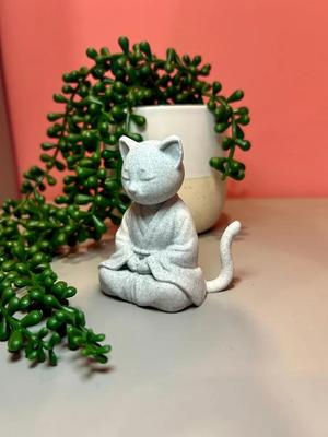 Cat-cat meditating