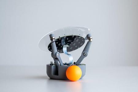BaBot – The Ball Balancing Robot ?