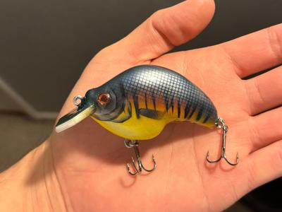 Crankbait Lure for Bass, Fishing Lure, Jigging
