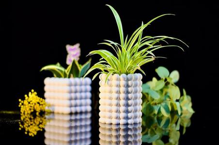 Bubble Vase