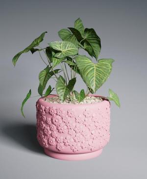 Planter Pot Cherry Blossom with Rounded Base