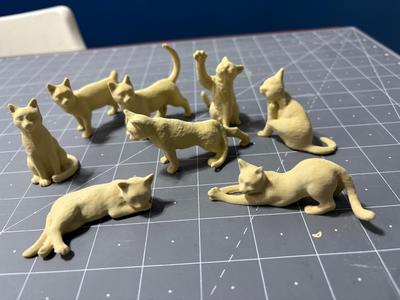Eight miniature cats on a plate