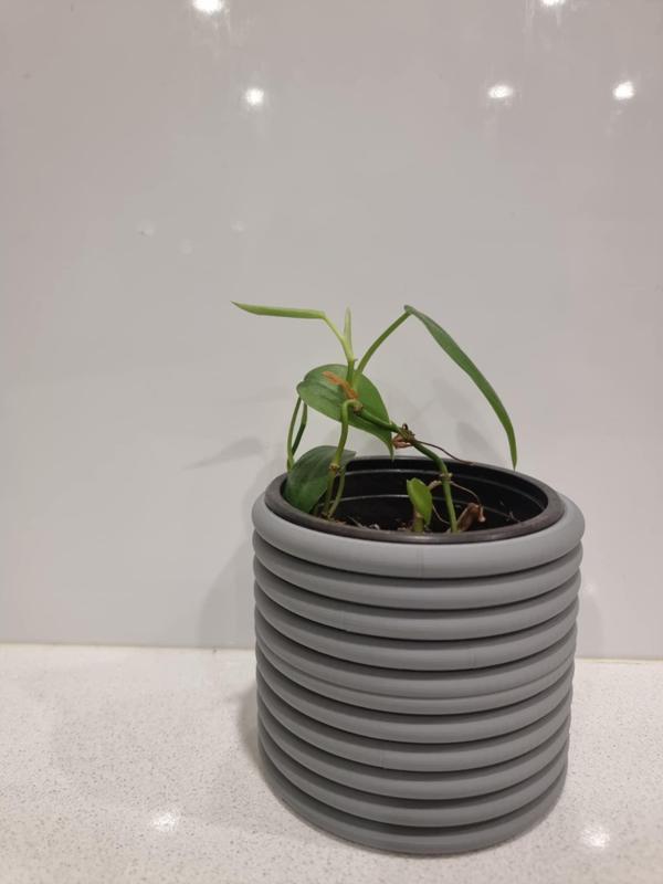 Spiral Eden planter Mini