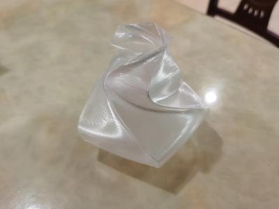 Face Mask Clip (Back of Neck)
