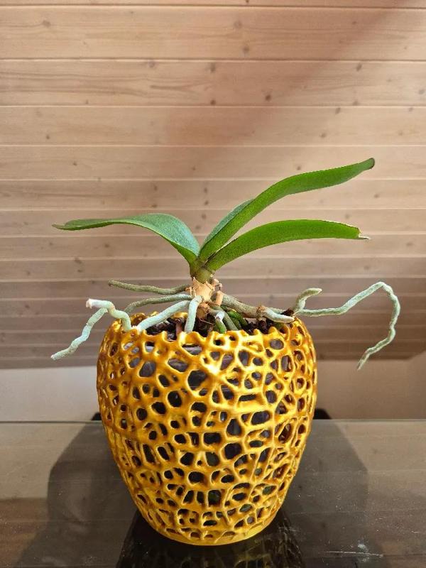 Orchid Voronoi Pot