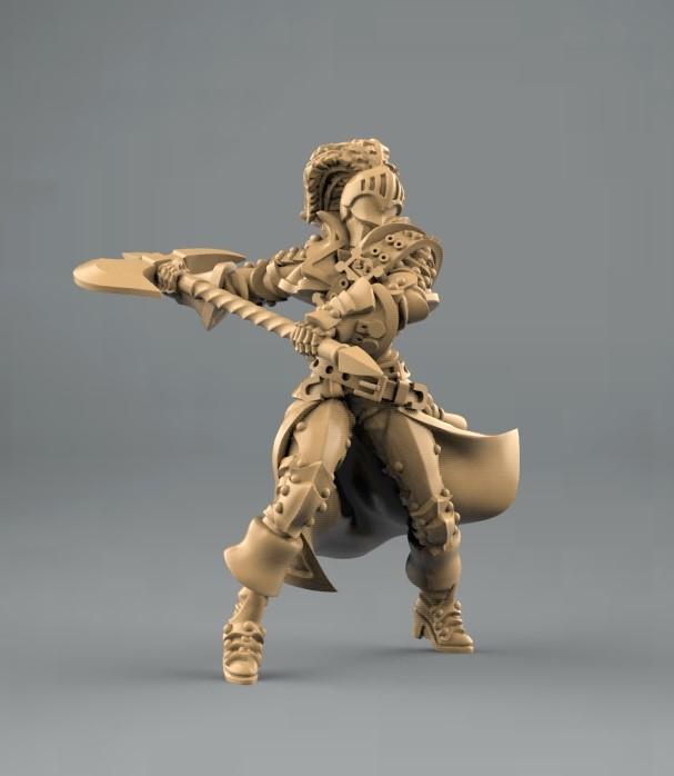 female paladin posed