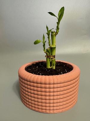 Large Terracotta Planter 180 x 180 x 91
