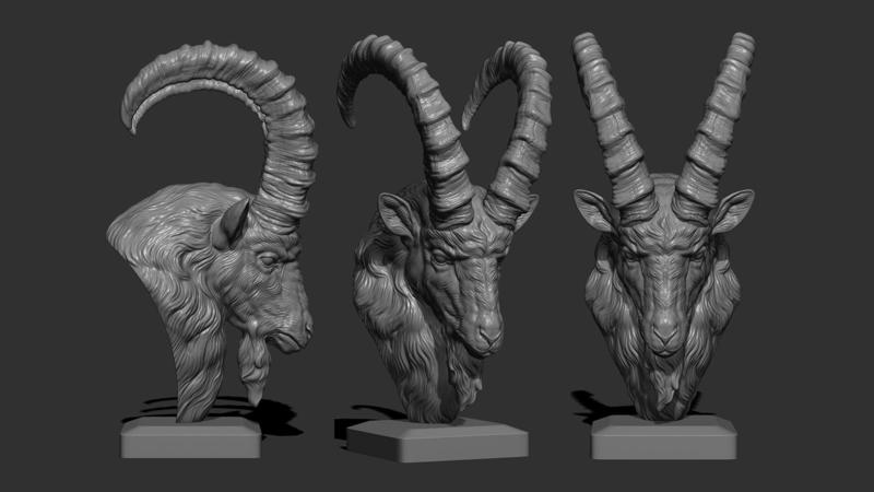 Ibex goat head