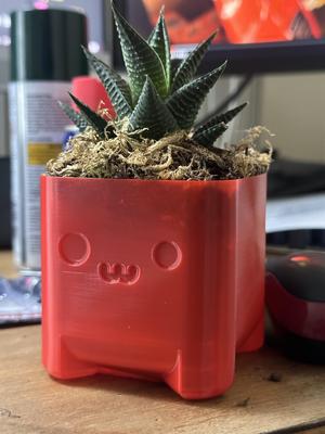 Cute Planter Timo