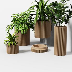 Mini planter- FIN Collection – Planter Set