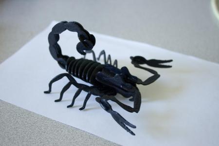 Scorpion