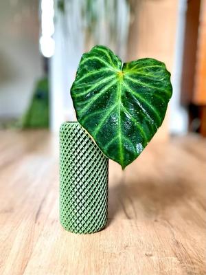 Geometrical waffle vase
