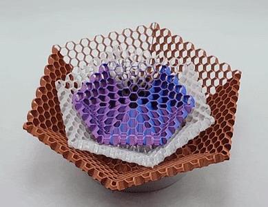 Vanishing Hexagon Tray