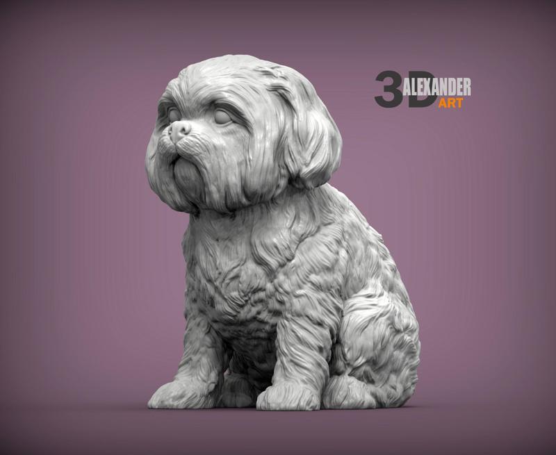 British Shih Tzu 3D print model
