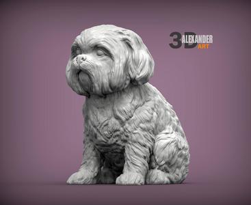 British Shih Tzu 3D print model