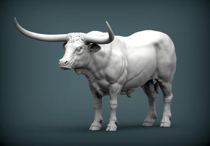 Texas Longhorn