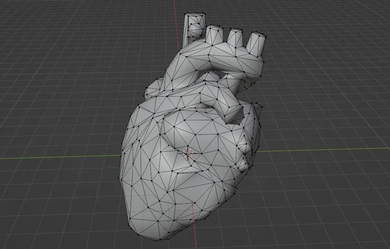 Low poly anatomical heart – solid