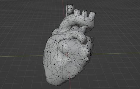 Low poly anatomical heart – solid