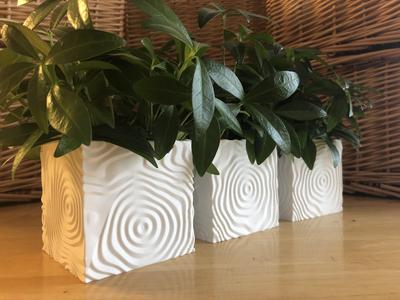 Ripple Vases (Cube)
