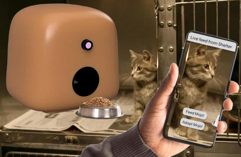 Kibble – Smart Food Dispenser for Shelters