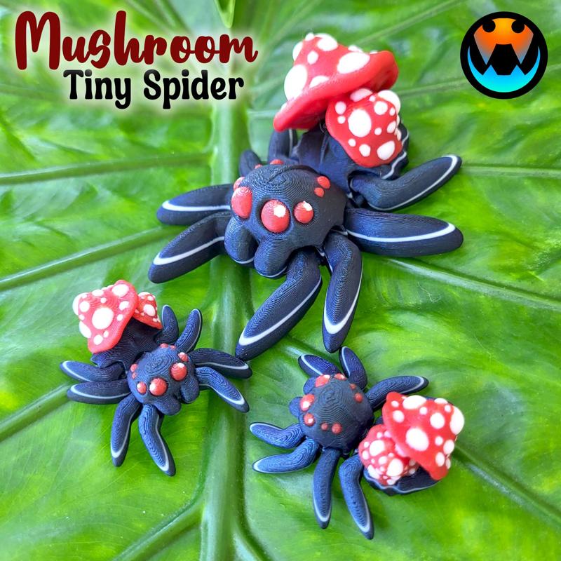 Tiny Mushroom Spider