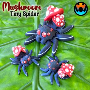 Tiny Mushroom Spider
