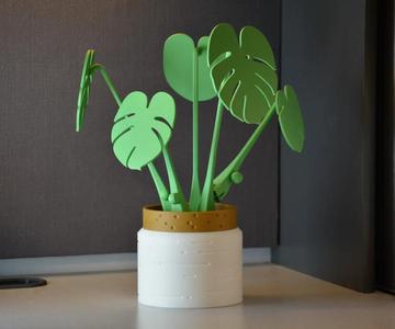 Planter Vase Pot for ForgeCore Monstera Coaster Plant