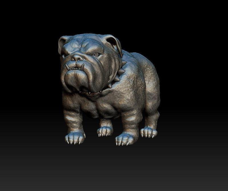 Lobos Dog