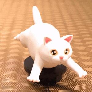 Swimming Cat Toy